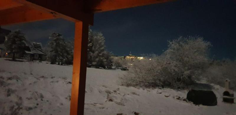 アルテンベルク Holzblockhaus Magdalenaヴィラ エクステリア 写真